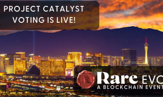 Vote For Rare Network in Fund 11!